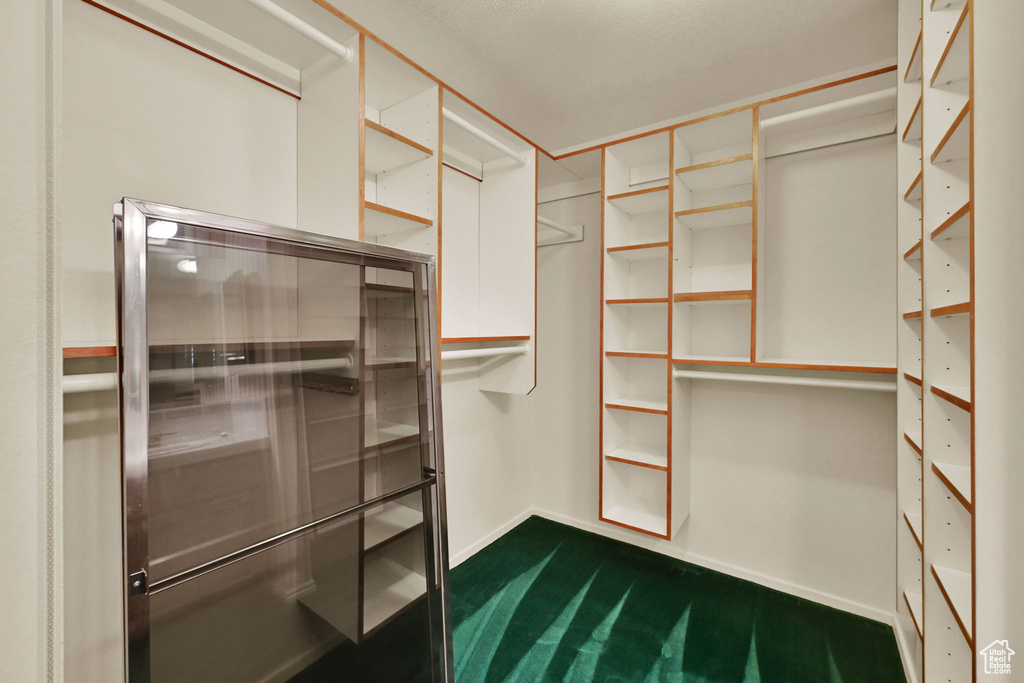 Spacious closet with dark colored carpet
