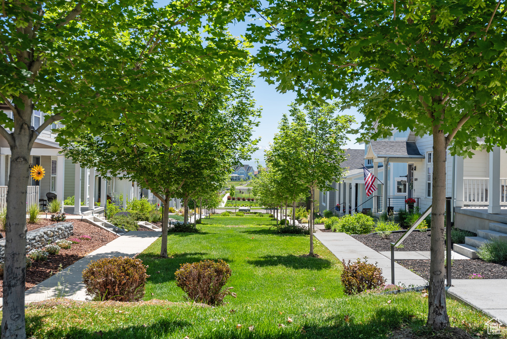View of property\\\'s community featuring a lawn and a residential view