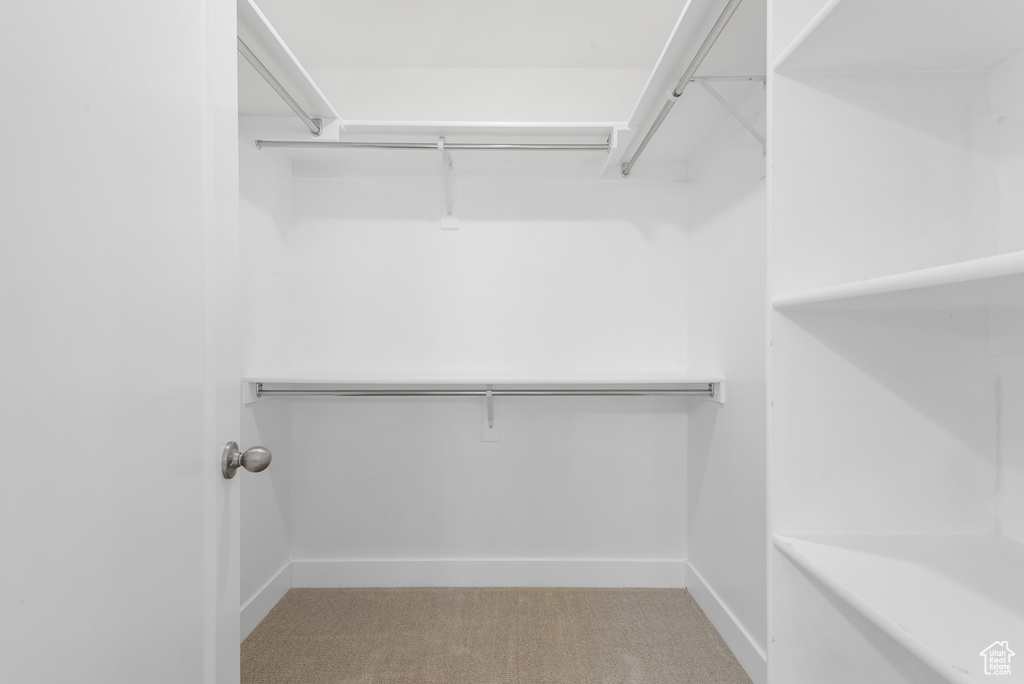 Spacious closet featuring light carpet