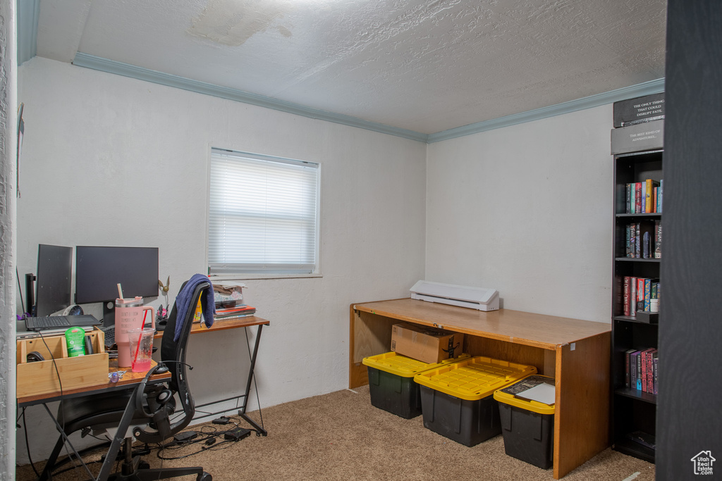 Home office with ornamental molding, carpet floors, and a textured ceiling