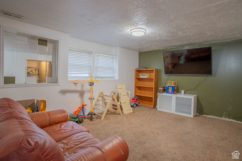 Recreation room with a textured ceiling and carpet floors