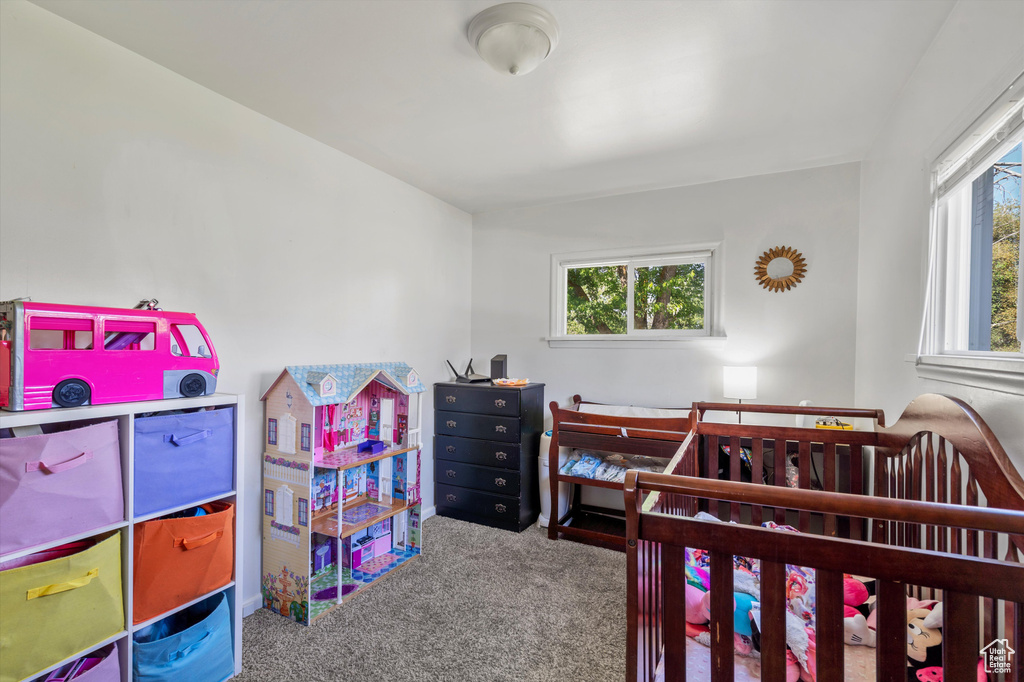 Bedroom with carpet floors