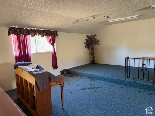 Miscellaneous room with a textured ceiling and carpet floors