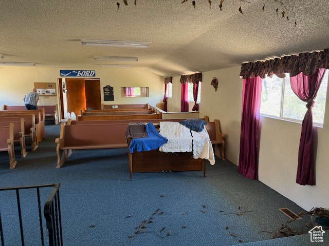 Carpeted bedroom featuring multiple windows, a textured ceiling, and vaulted ceiling