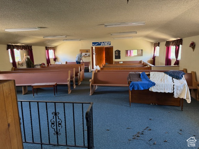 Miscellaneous room with carpet flooring, a textured ceiling, and plenty of natural light