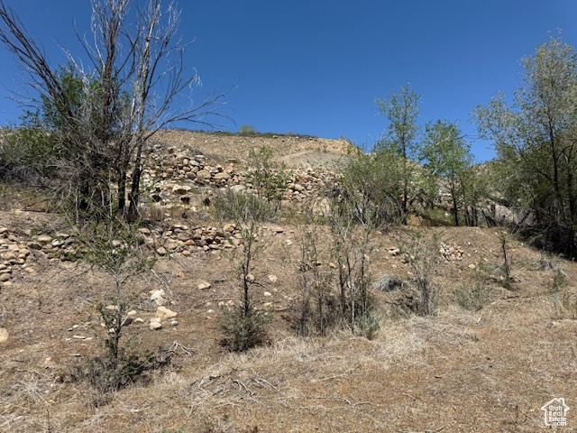 View of undeveloped land