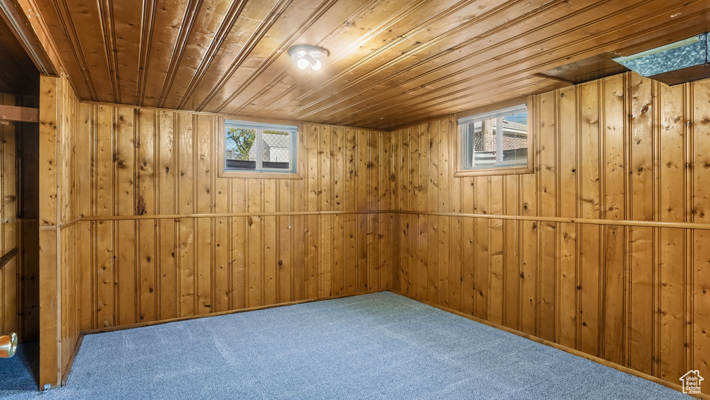 Below grade area featuring plenty of natural light, wooden ceiling, wooden walls, and carpet floors