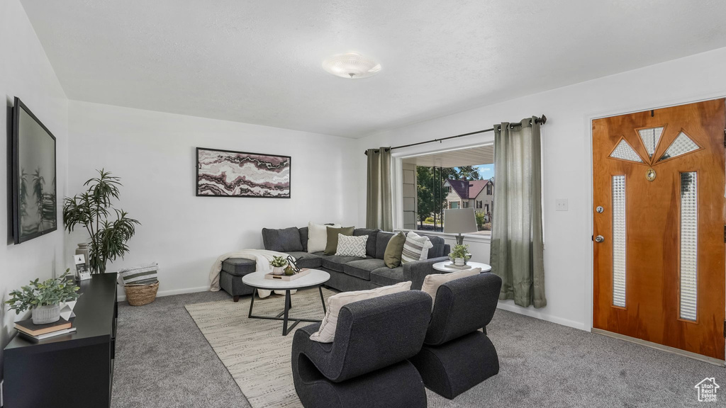 Living room featuring carpet floors and baseboards