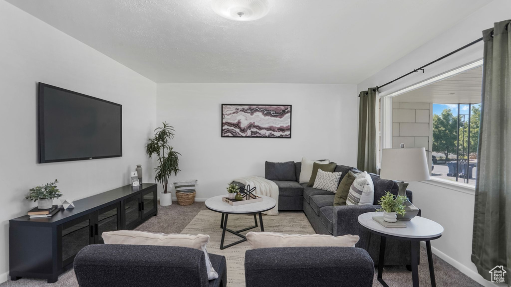Living room with carpet flooring and baseboards