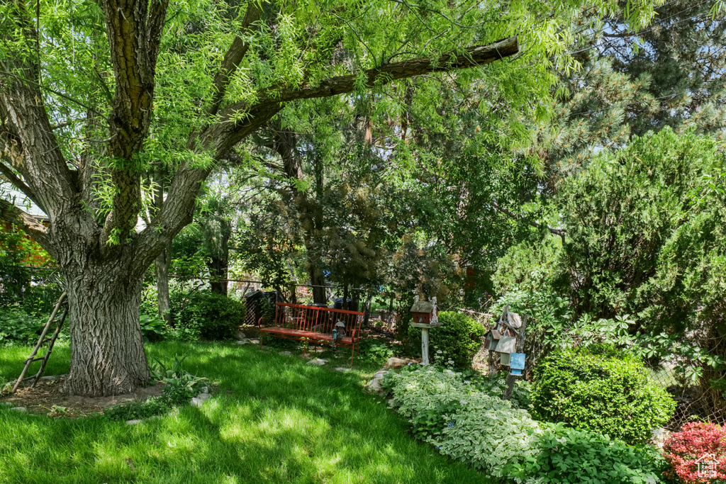 View of green lawn