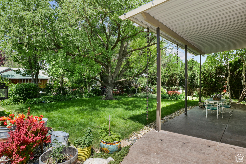 View of green lawn featuring a patio area, view of wooded area, and outdoor dining area