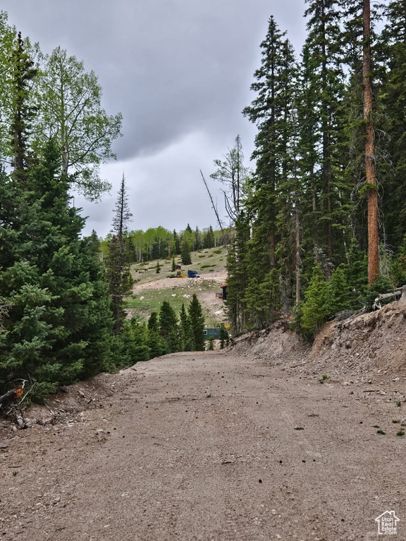 View of local wilderness