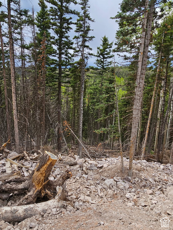 View of wooded area