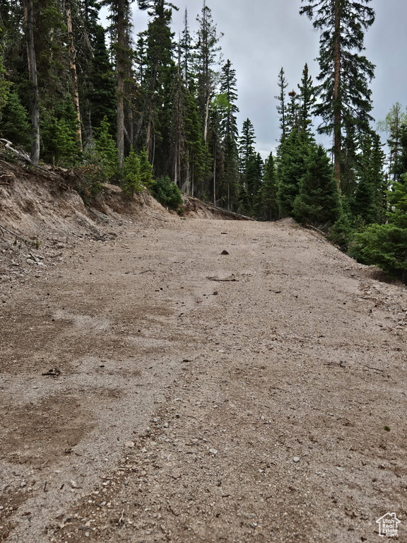 View of wooded area