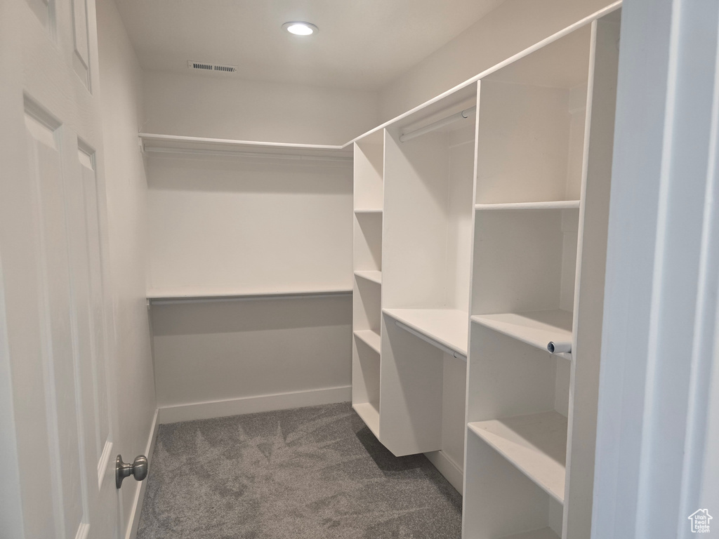 Walk in closet with dark carpet