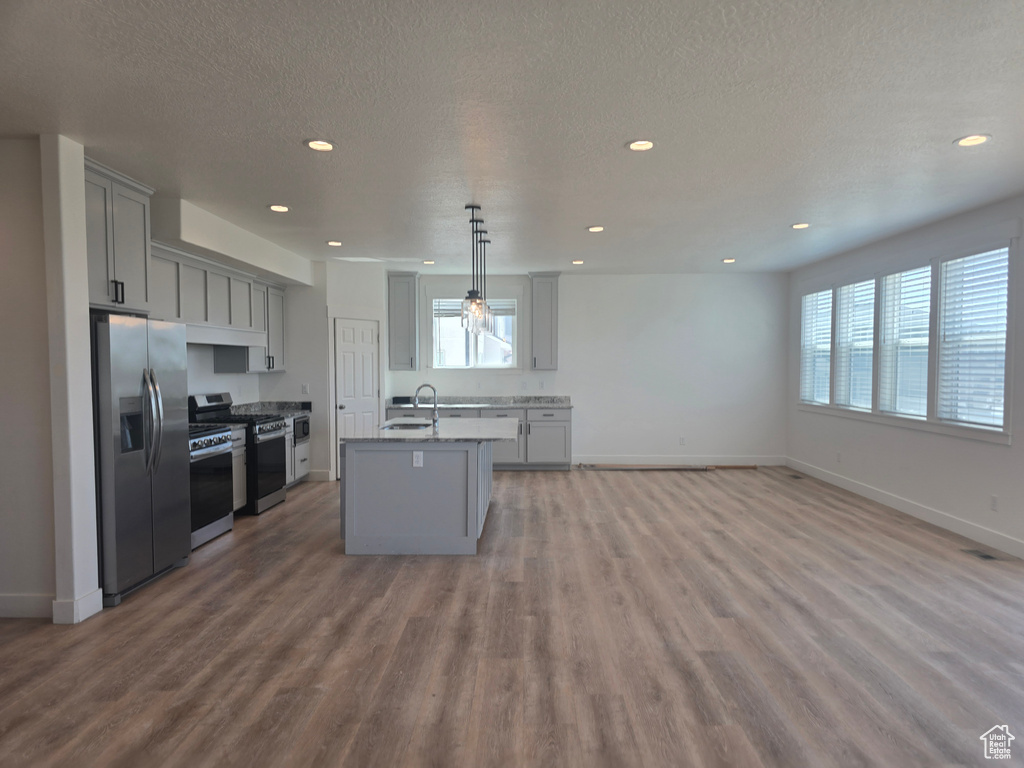Kitchen with stainless steel appliances, gray cabinets, a sink, open floor plan, and recessed lighting