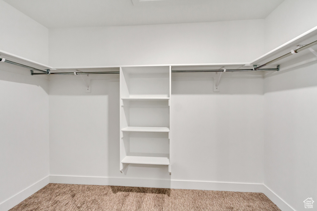 Spacious closet with carpet flooring