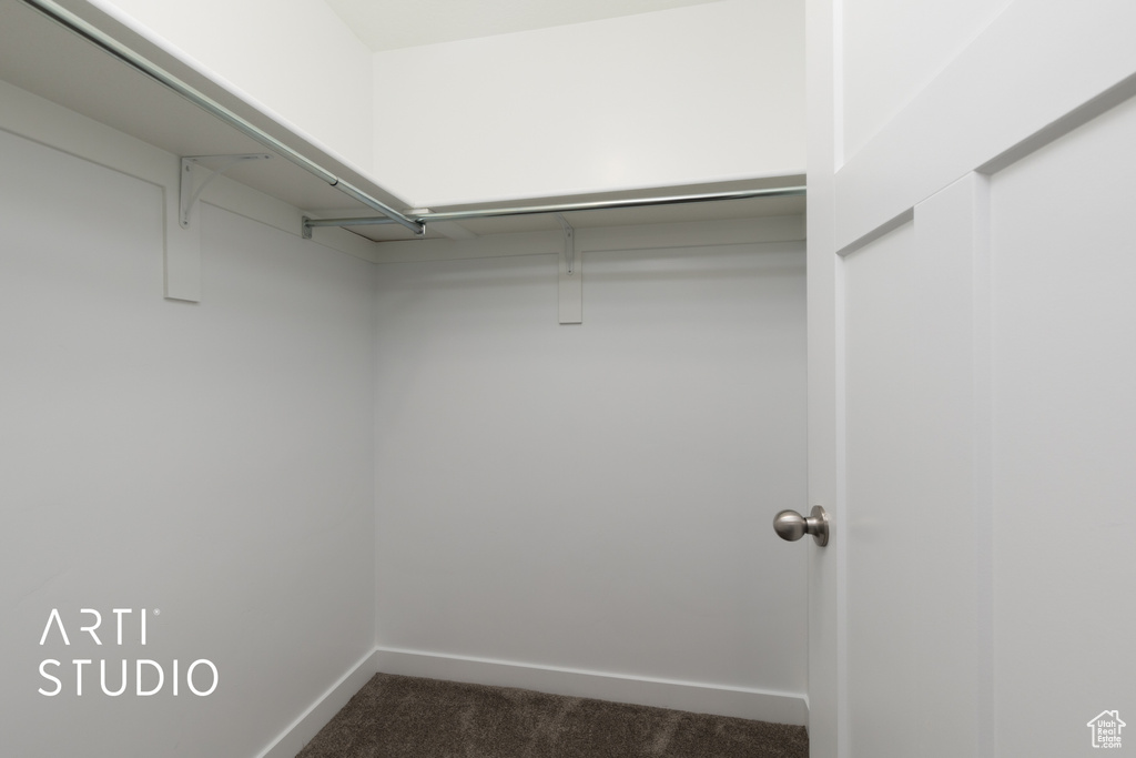 Spacious closet featuring dark colored carpet