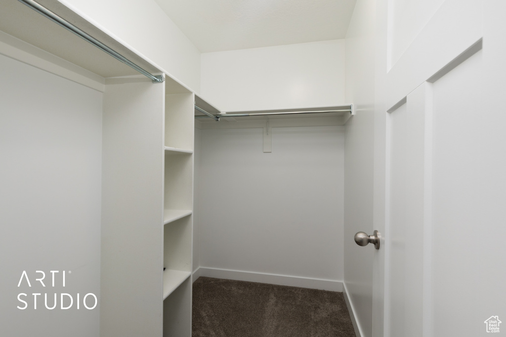Spacious closet featuring carpet floors