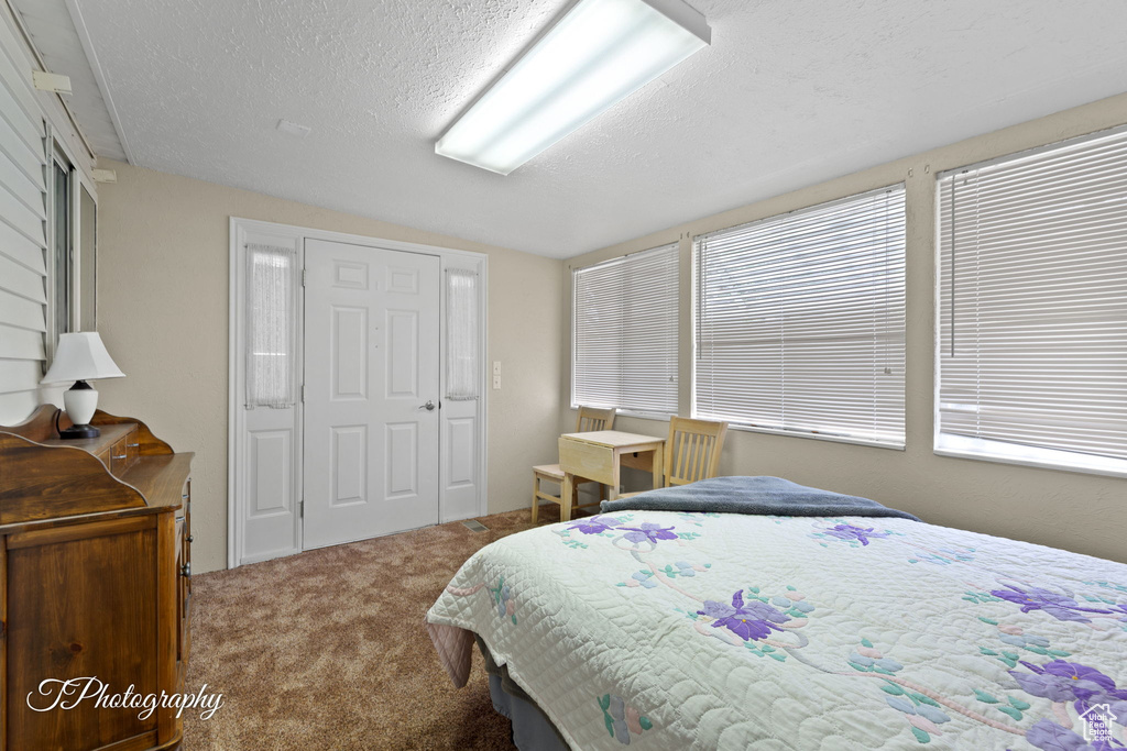 Bedroom with carpet floors, lofted ceiling, and a textured ceiling