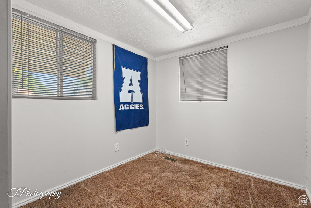 Unfurnished room featuring carpet, a textured ceiling, baseboards, and ornamental molding