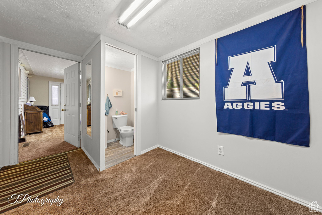 Carpeted bedroom featuring a textured ceiling, baseboards, and ensuite bathroom