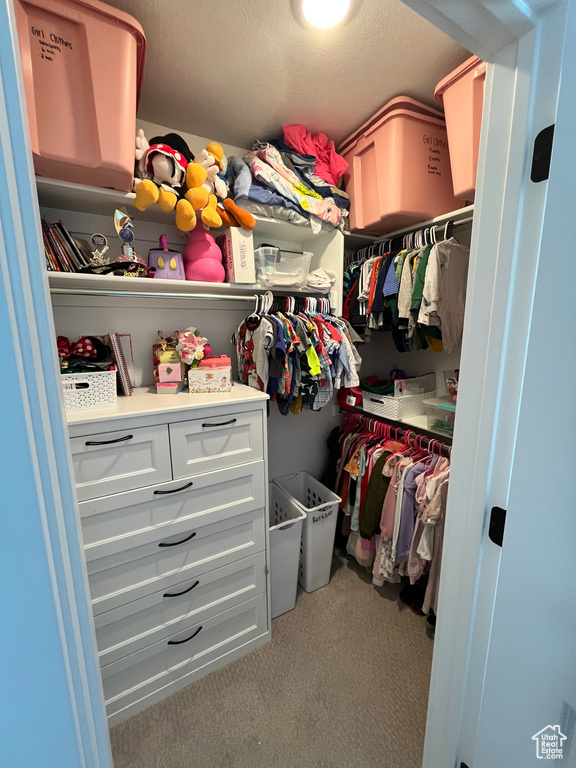 Spacious closet featuring carpet floors