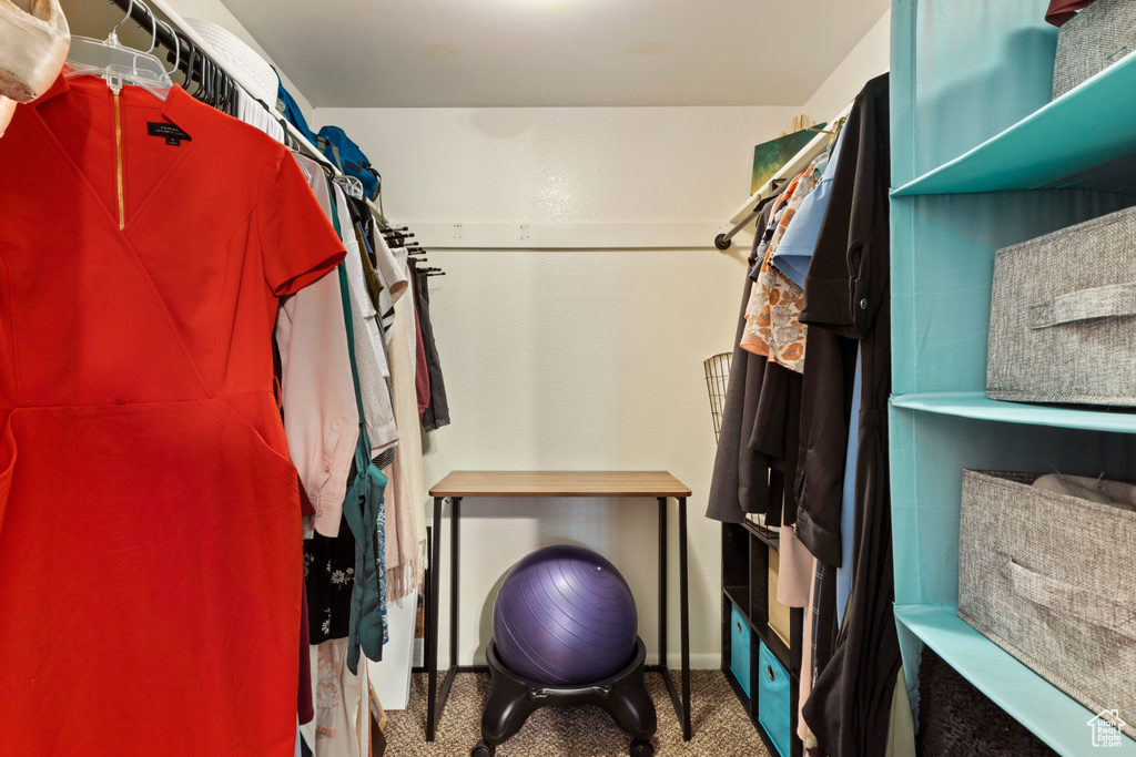 Spacious closet featuring carpet floors