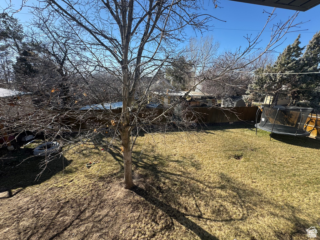 View of yard featuring a trampoline