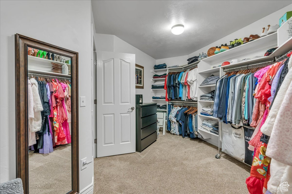 Spacious closet featuring light carpet