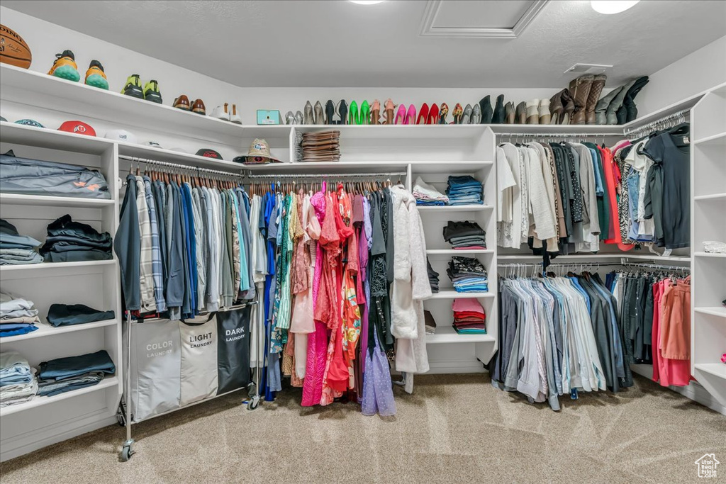 Walk in closet with attic access and carpet flooring