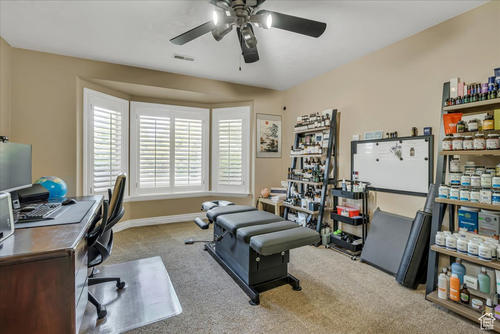 Office area with ceiling fan, carpet flooring, and baseboards