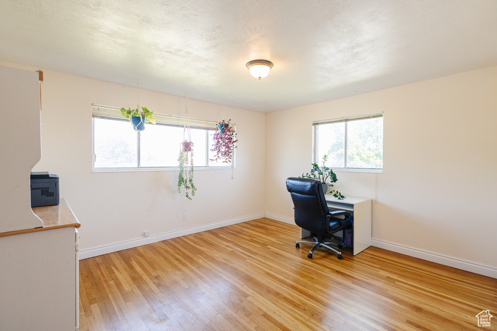 Office area featuring plenty of natural light, light wood-style flooring, and baseboards