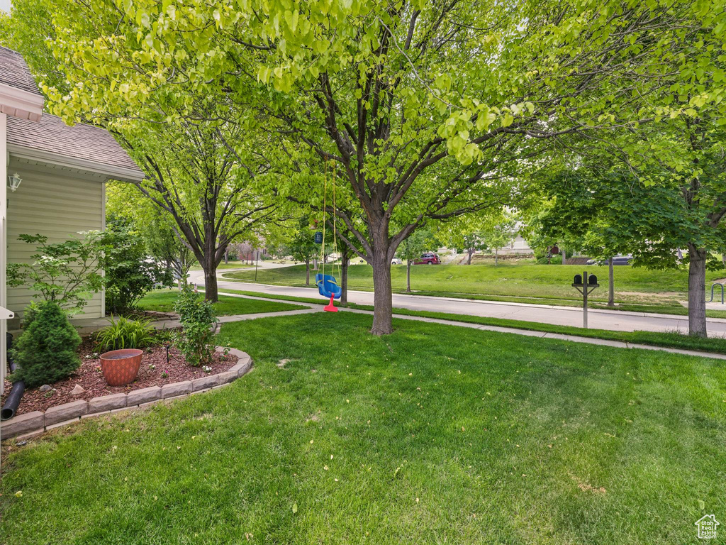 View of green lawn