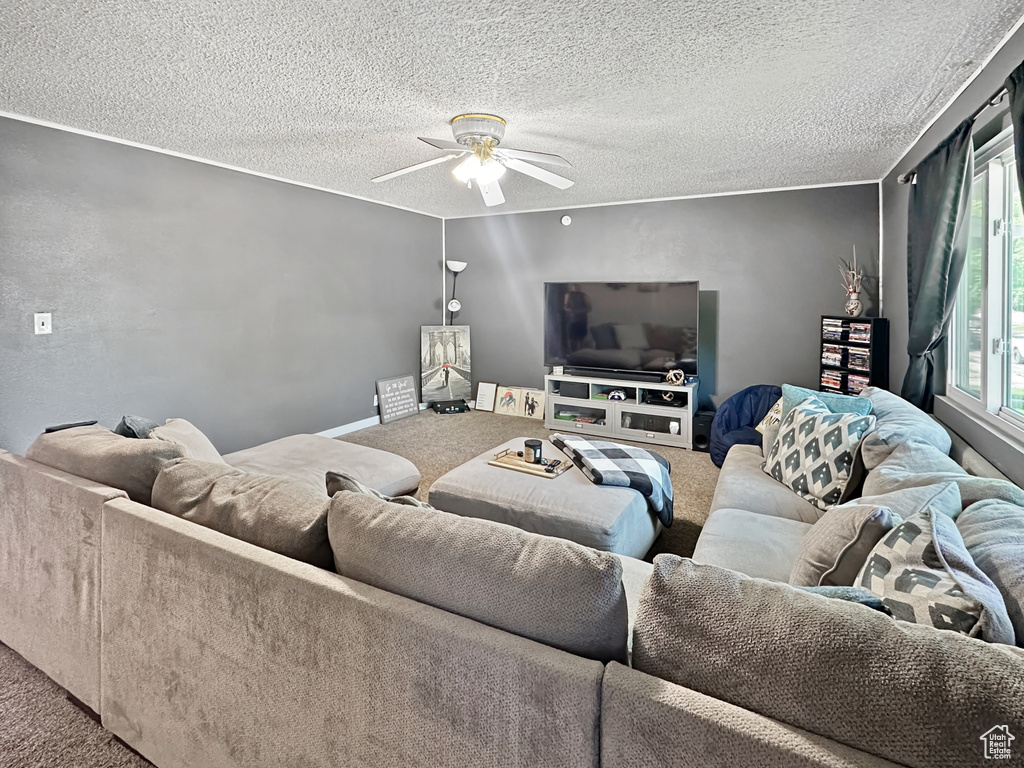 Living room featuring carpet flooring, a ceiling fan, and a textured ceiling