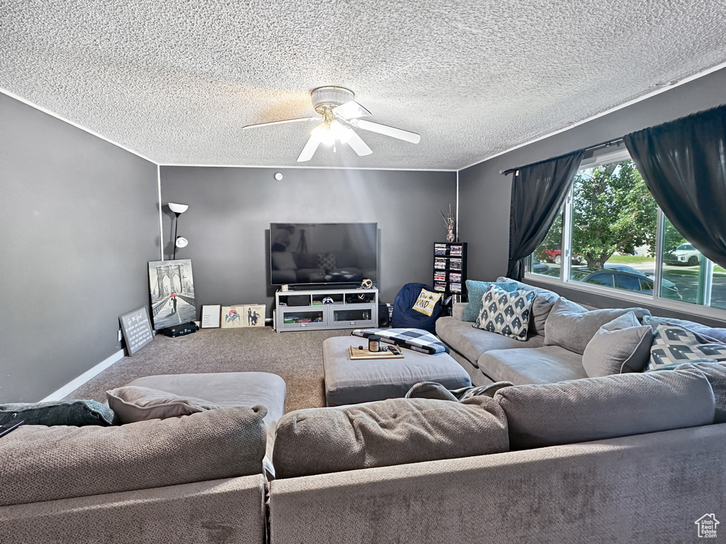 Carpeted living area with a ceiling fan and a textured ceiling