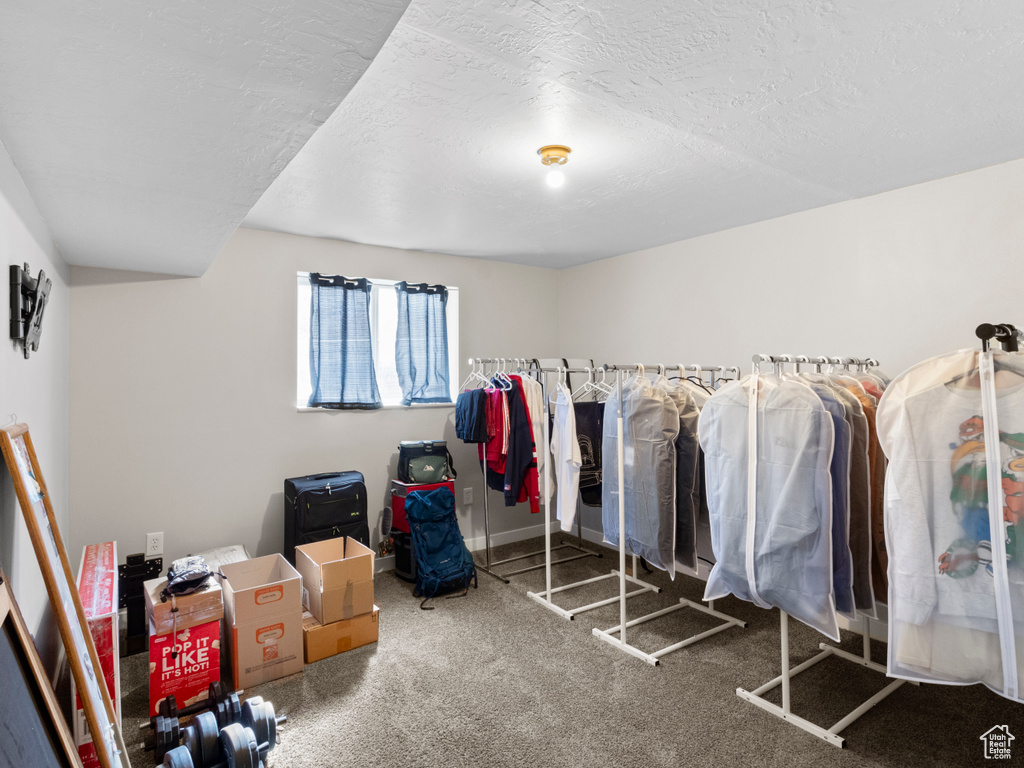 Walk in closet with carpet floors