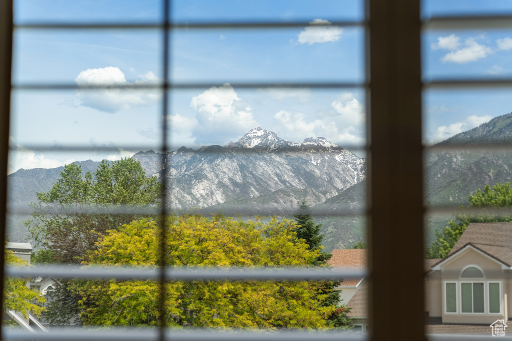 Detailed view of a mountainous background
