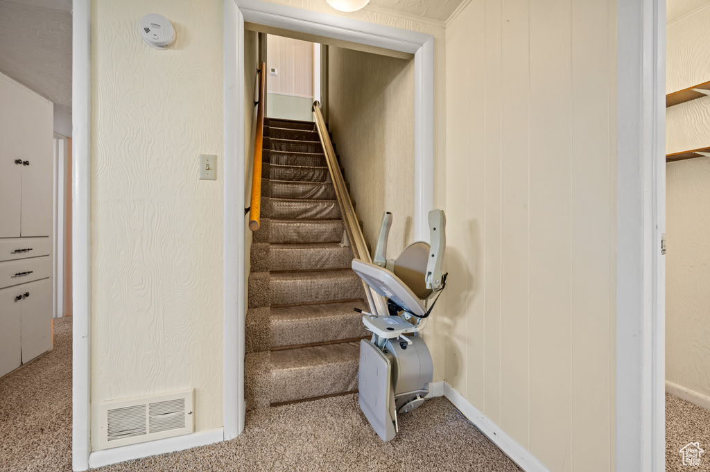 Stairs with carpet flooring and baseboards