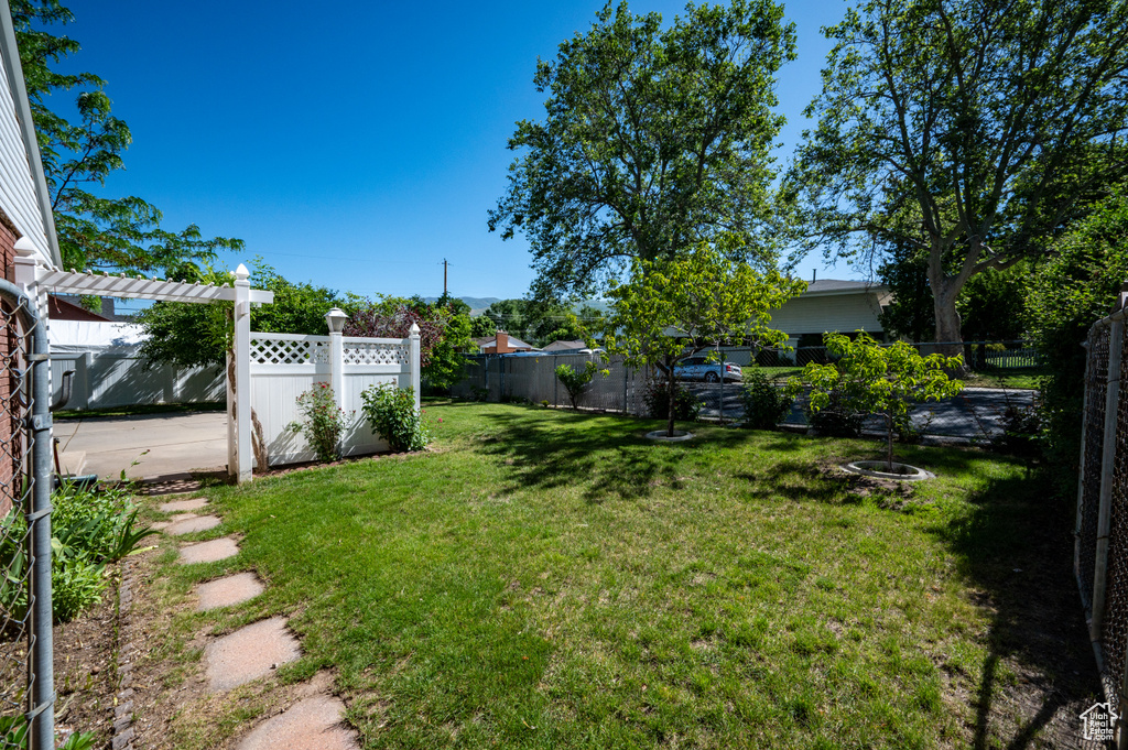 View of yard