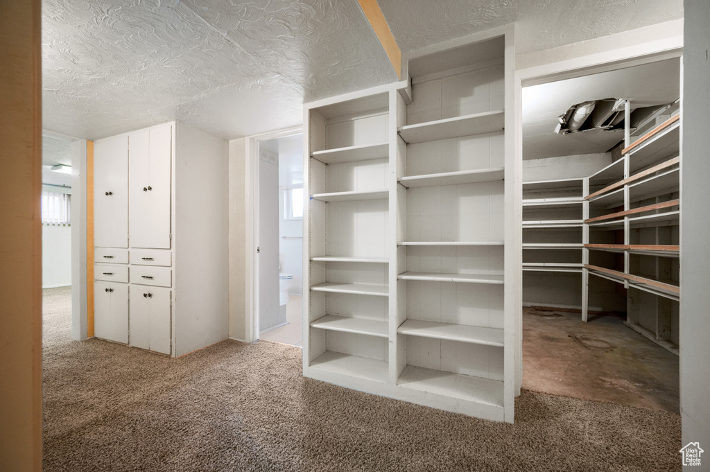Spacious closet with carpet flooring