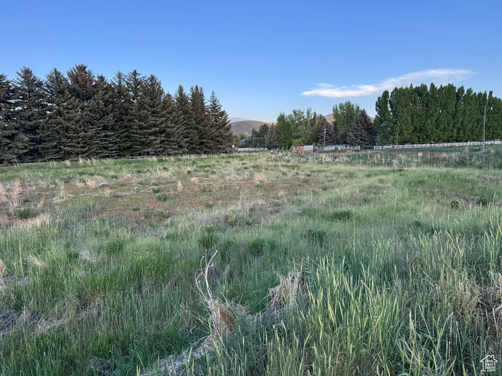 View of yard with a rural view
