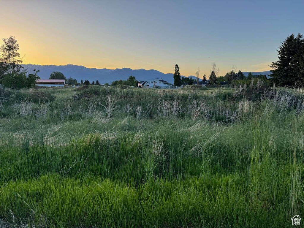 Mountain view