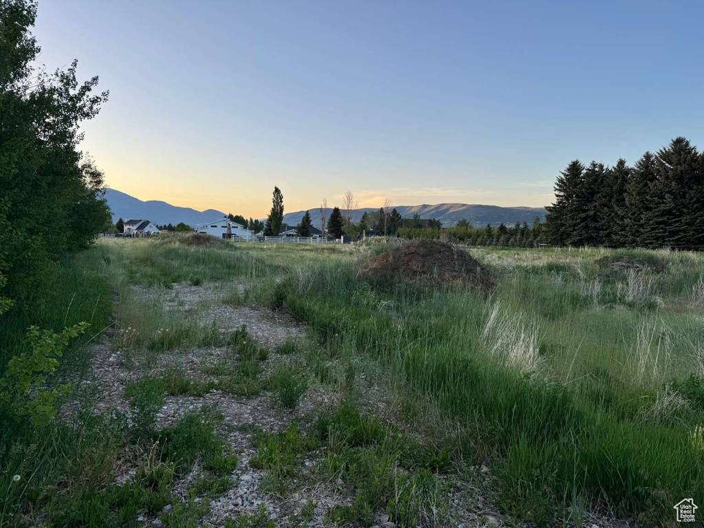 View of nature with a mountain backdrop