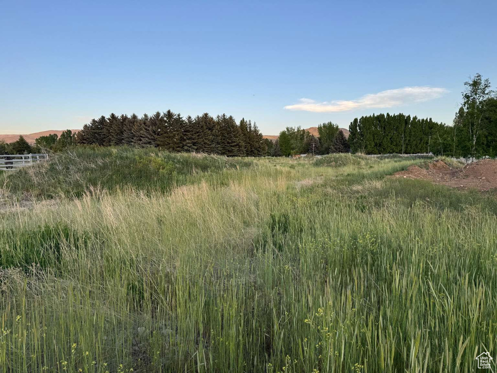 View of local wilderness featuring rural landscape