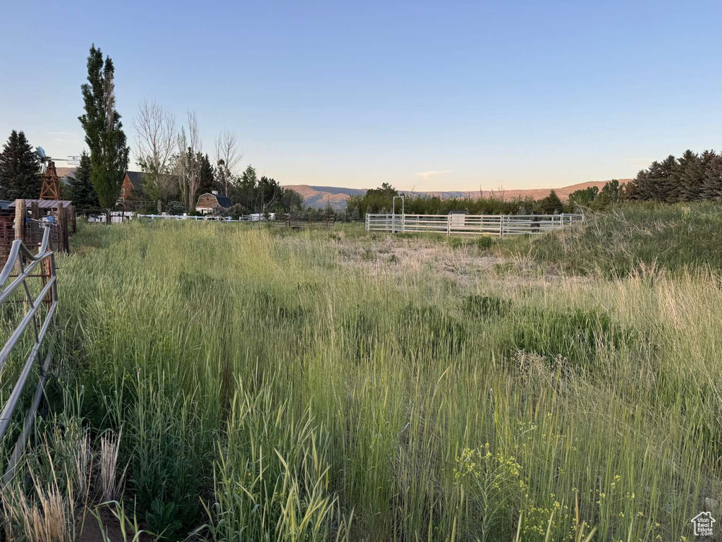 View of yard with a rural view