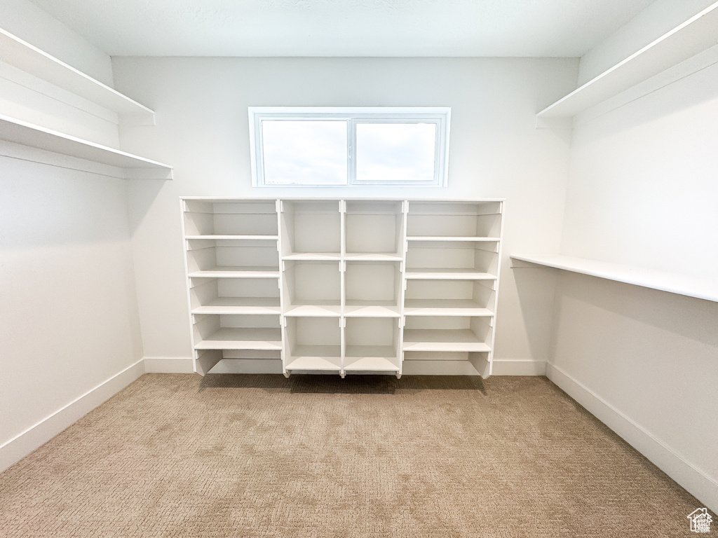 Walk in closet with carpet