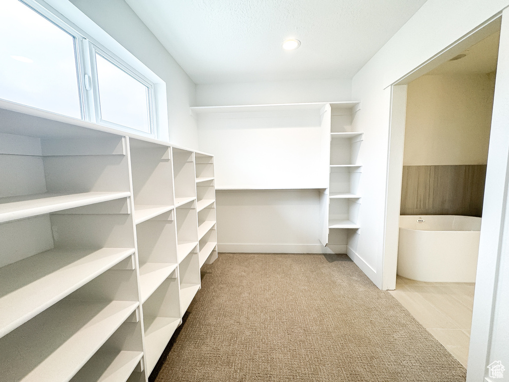 Spacious closet with carpet floors