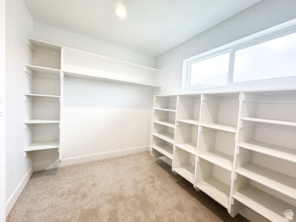 Walk in closet featuring carpet floors