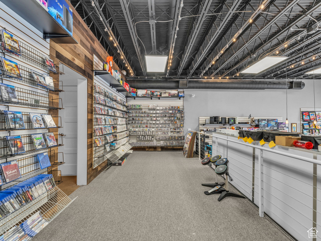 Basement featuring carpet